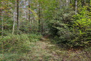 Last Resort Terrace-S0310-068.jpg
