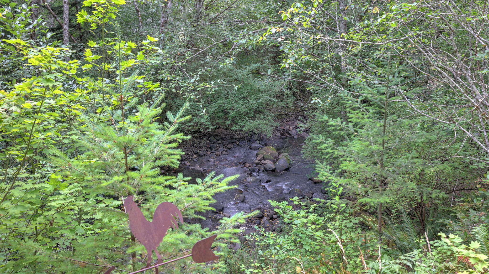  Photo 34