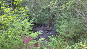  Photo 33