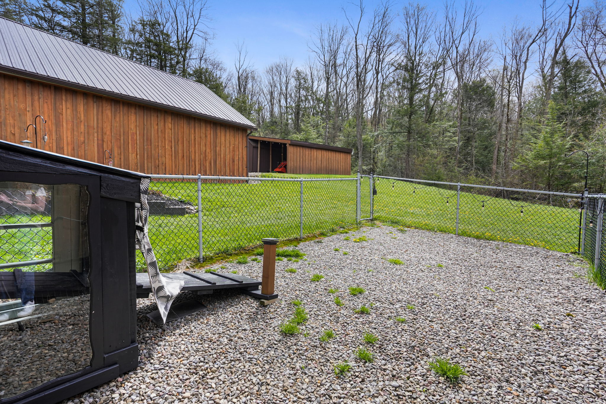 Enclosed Dog Area