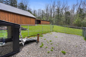 Enclosed Dog Area