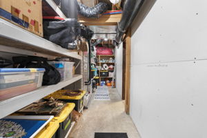 Basement Storage Area and Utilities