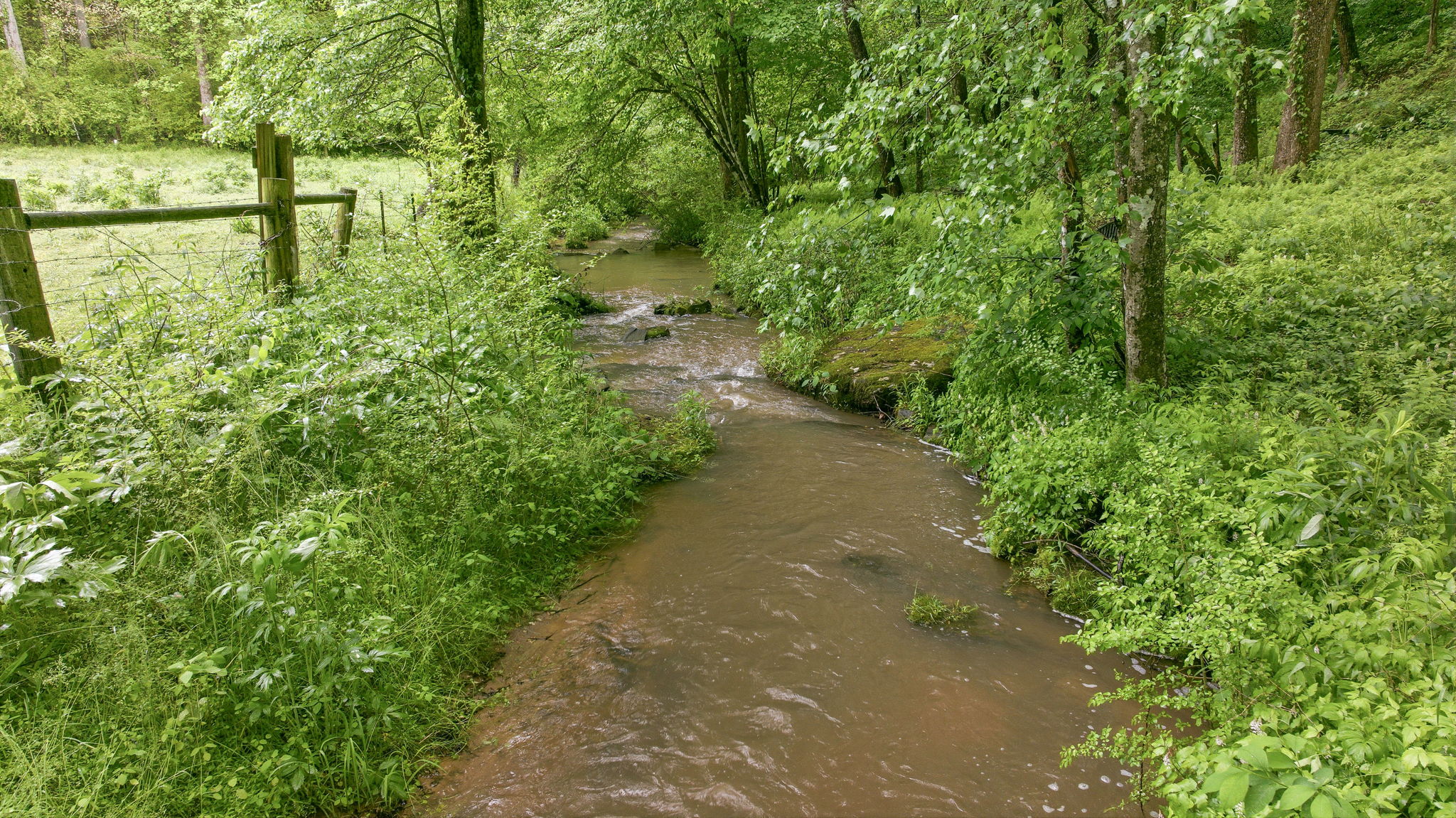 Image-47