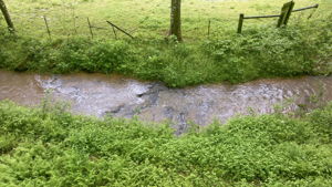 Image-44