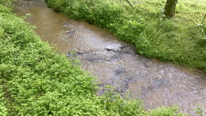 Image-45