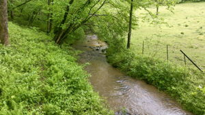 Image-46