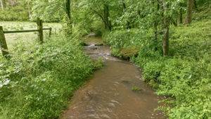 Image-47