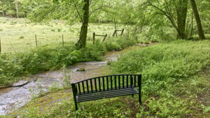 Image-50