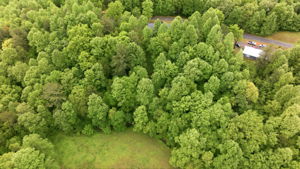 Image-56