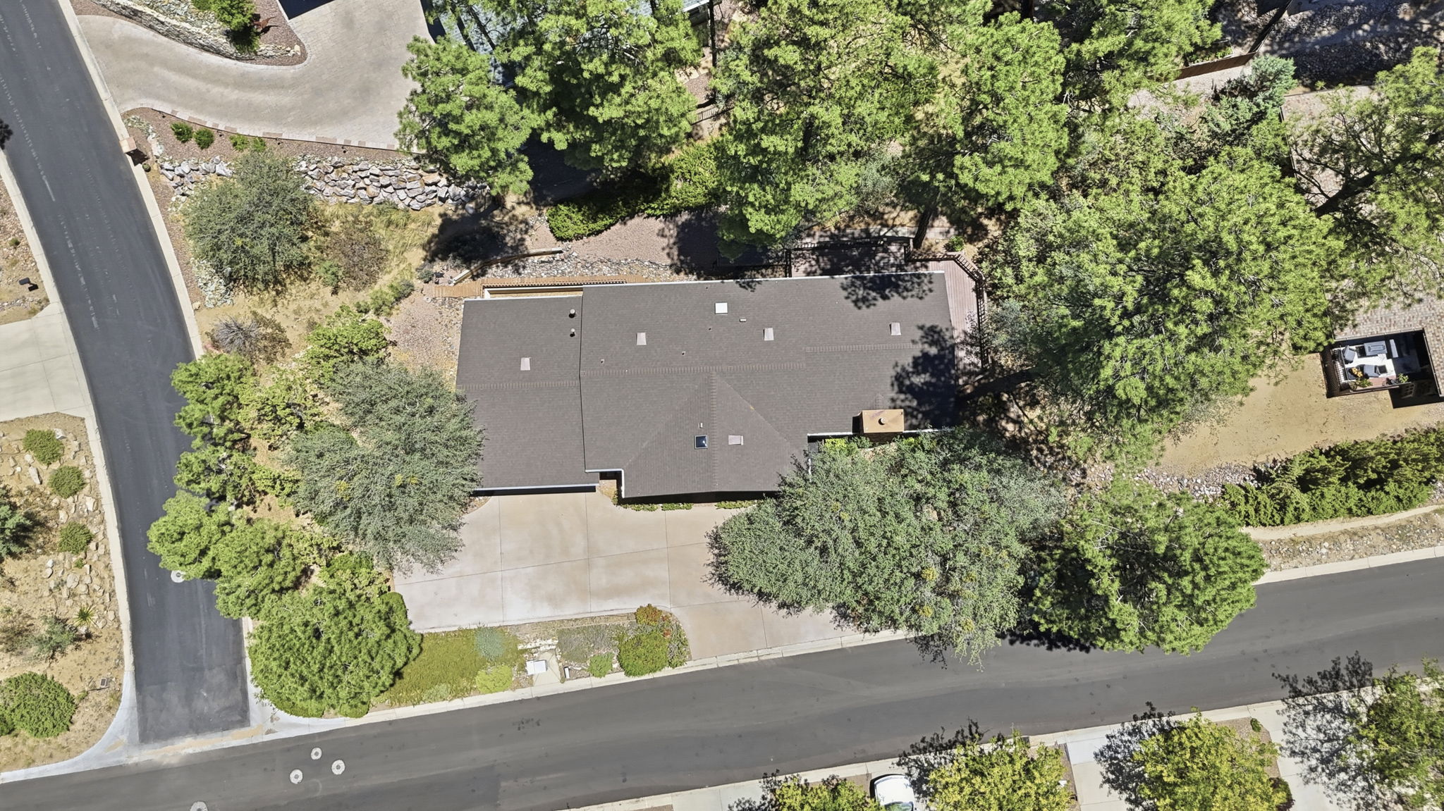Birds Eye