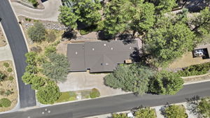 Birds Eye