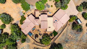 Birds Eye