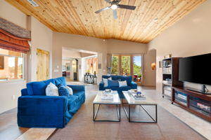 Living Room (4)
