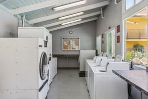 Sunkist Dr-2406-904.jpg