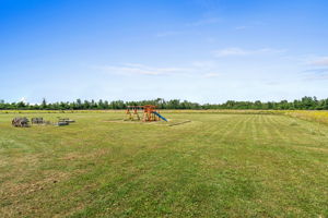  Photo 50