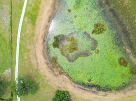 DJI_0286
