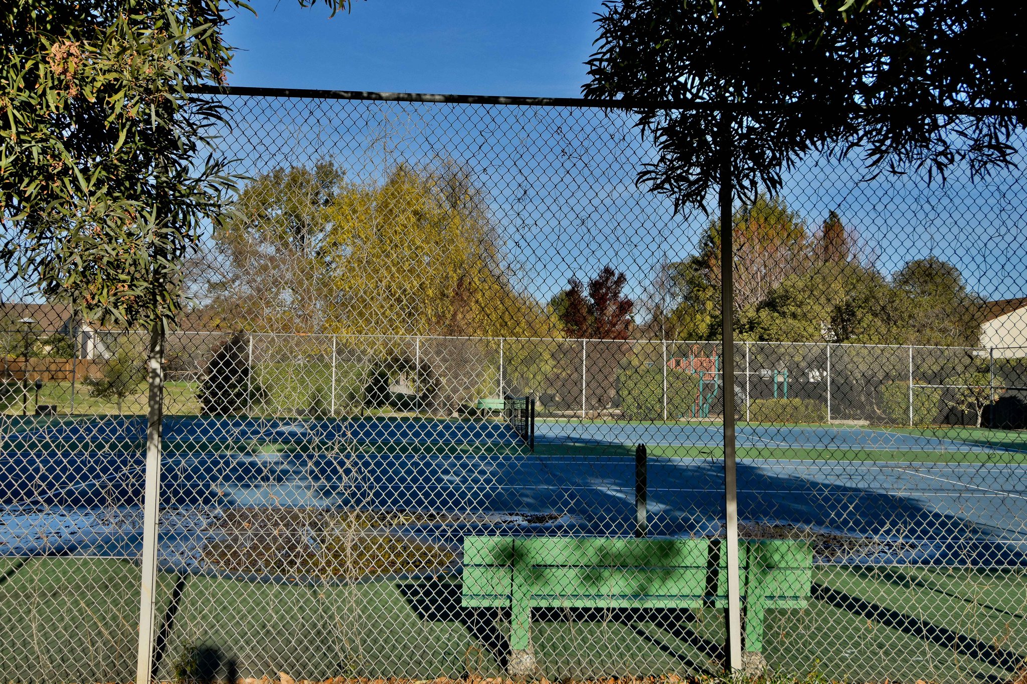  Photo 41