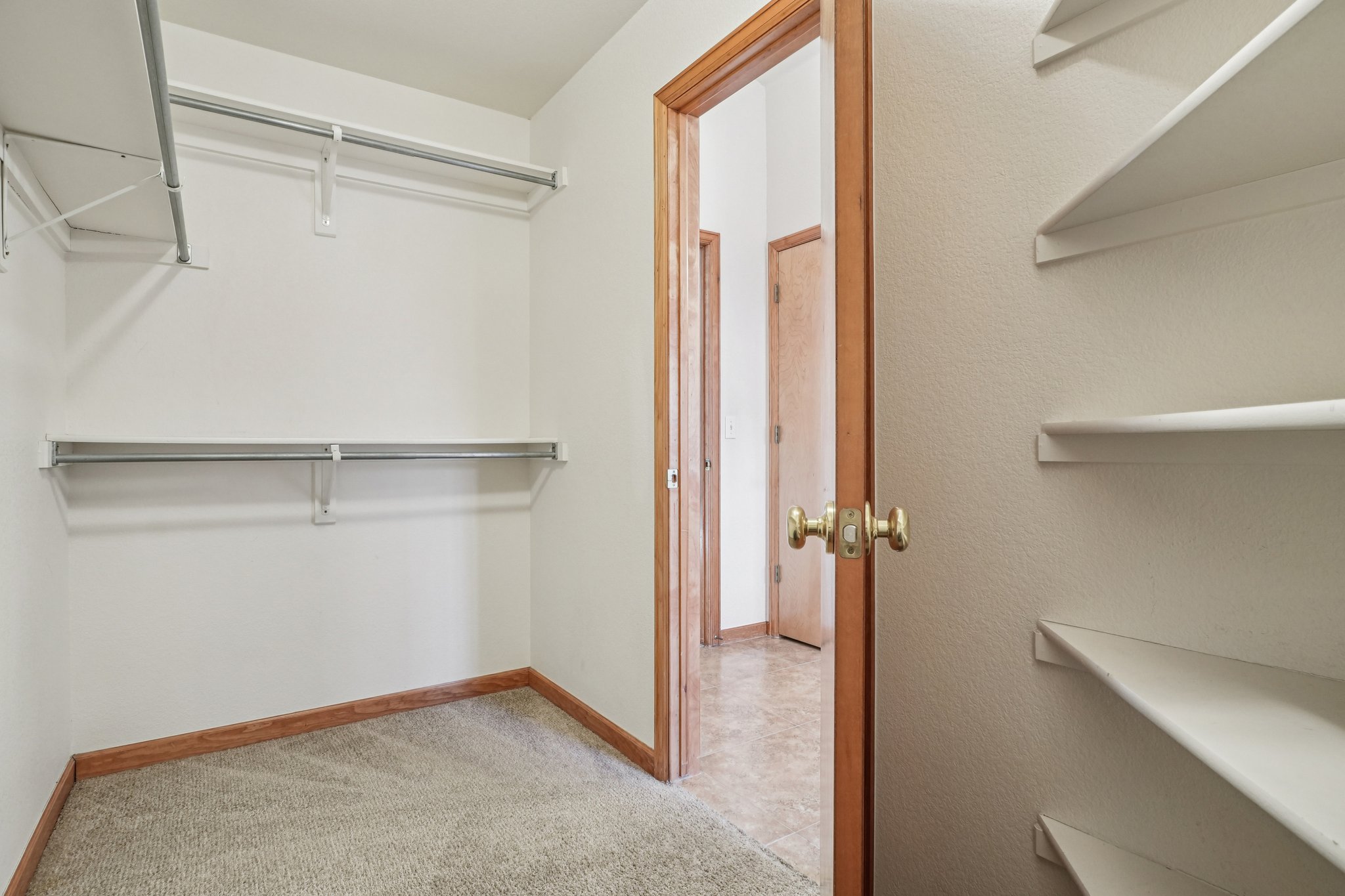 Steele Ct-S2201-030.jpg