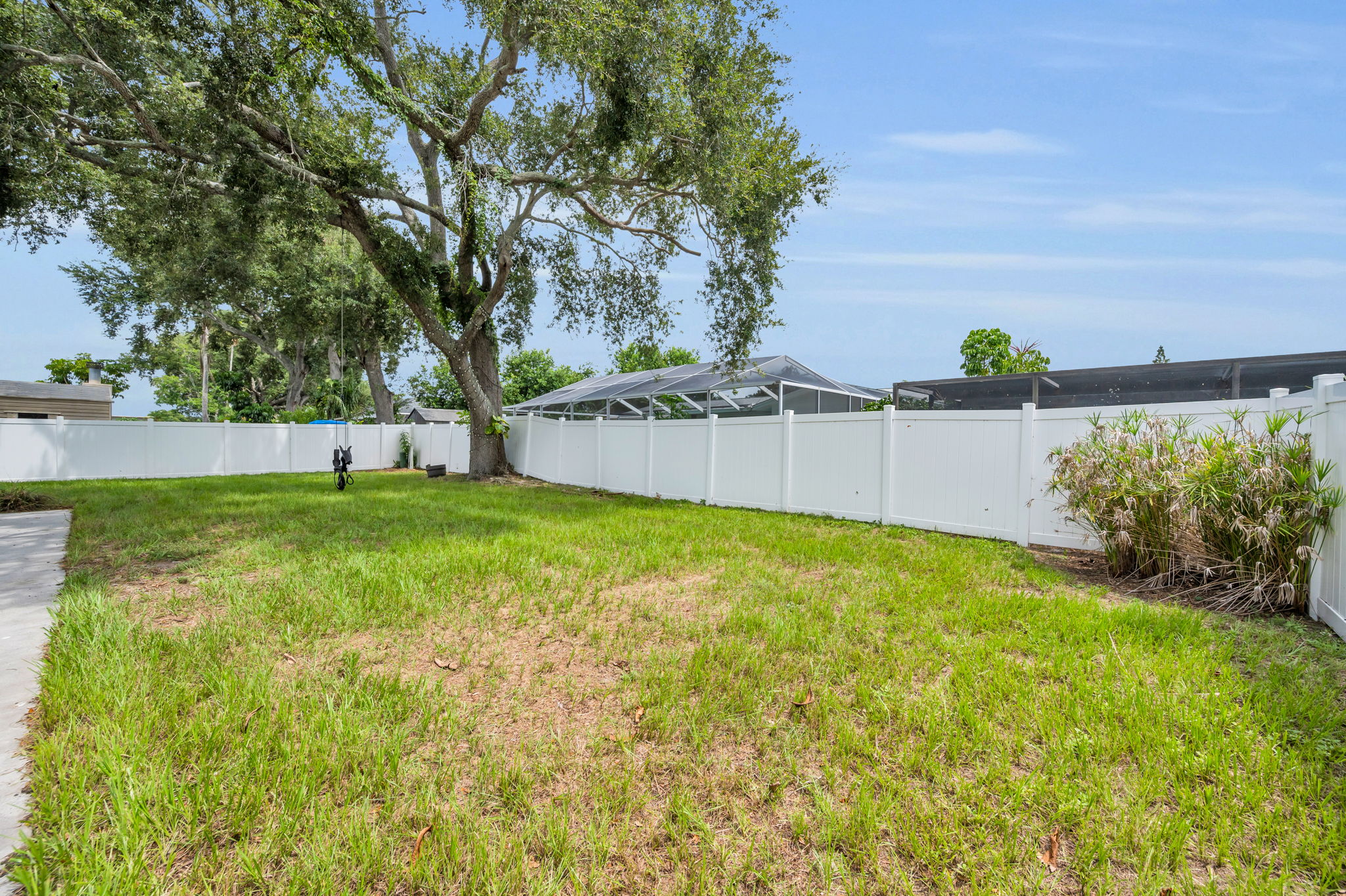 Backyard5