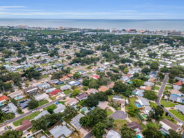 Aerial (14)