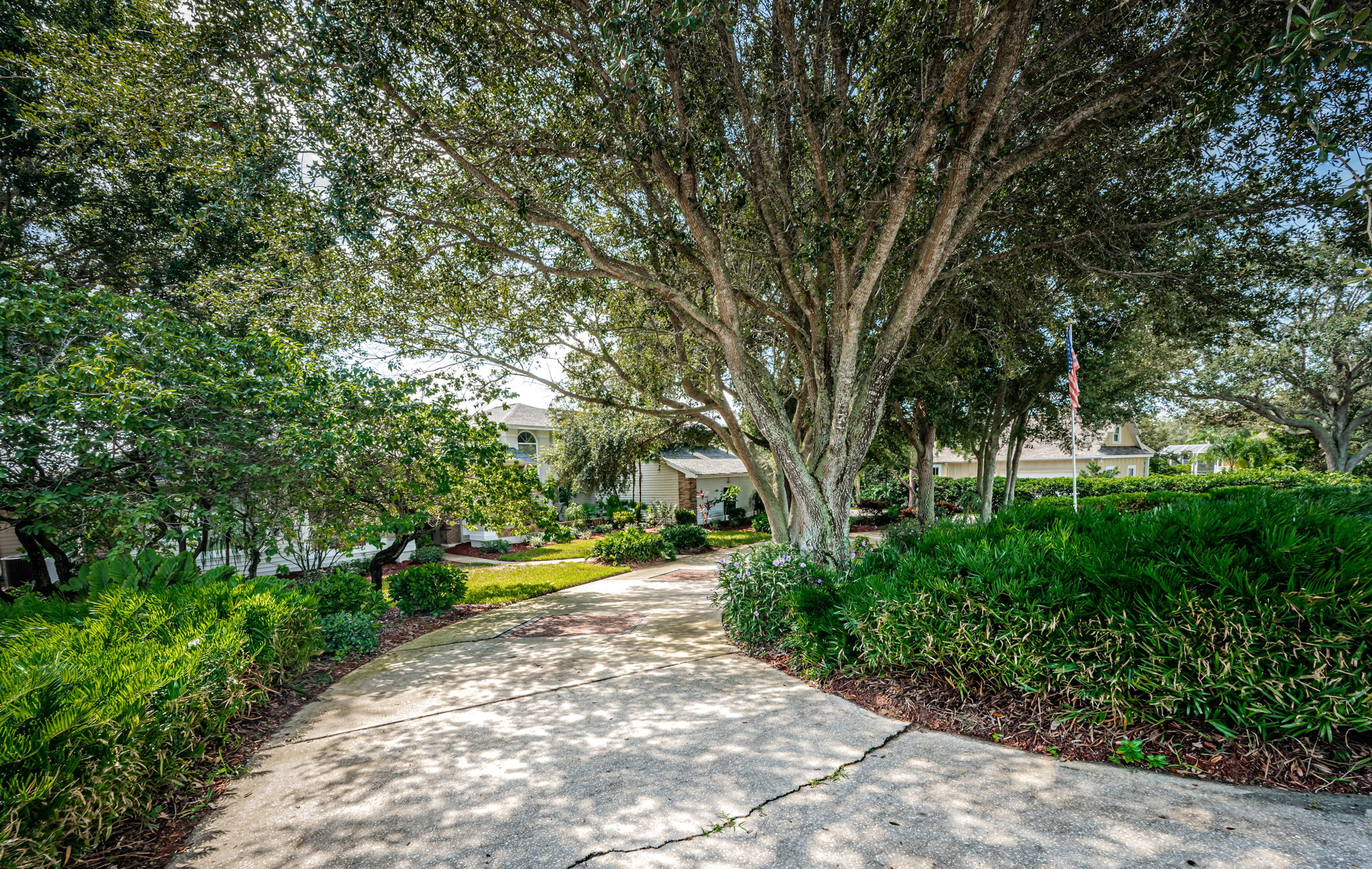 Circular Driveway1