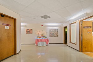  Photo 51