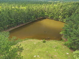  Photo 29
