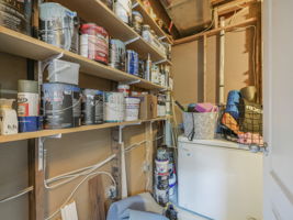  Photo 95