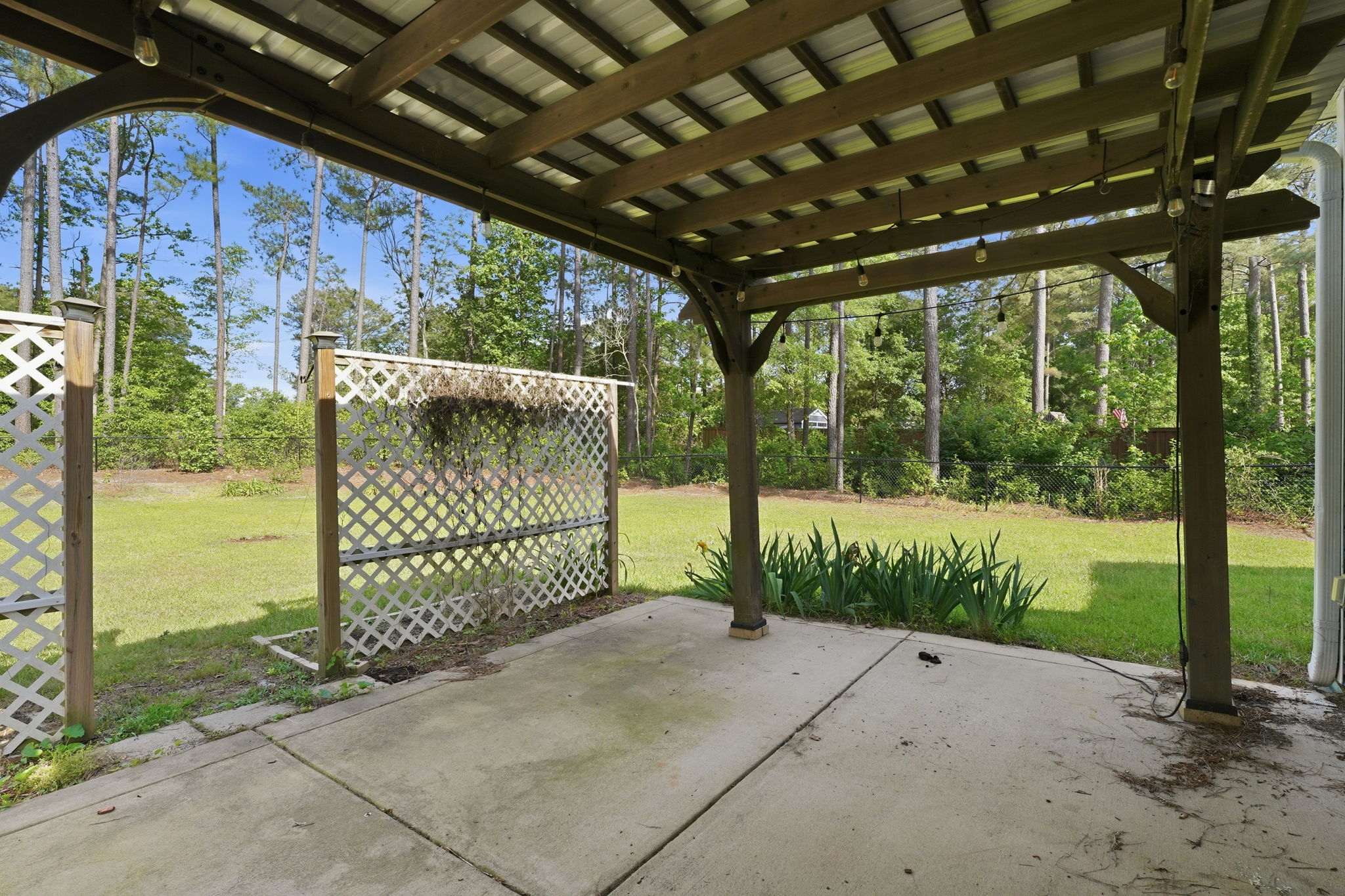  Photo 43