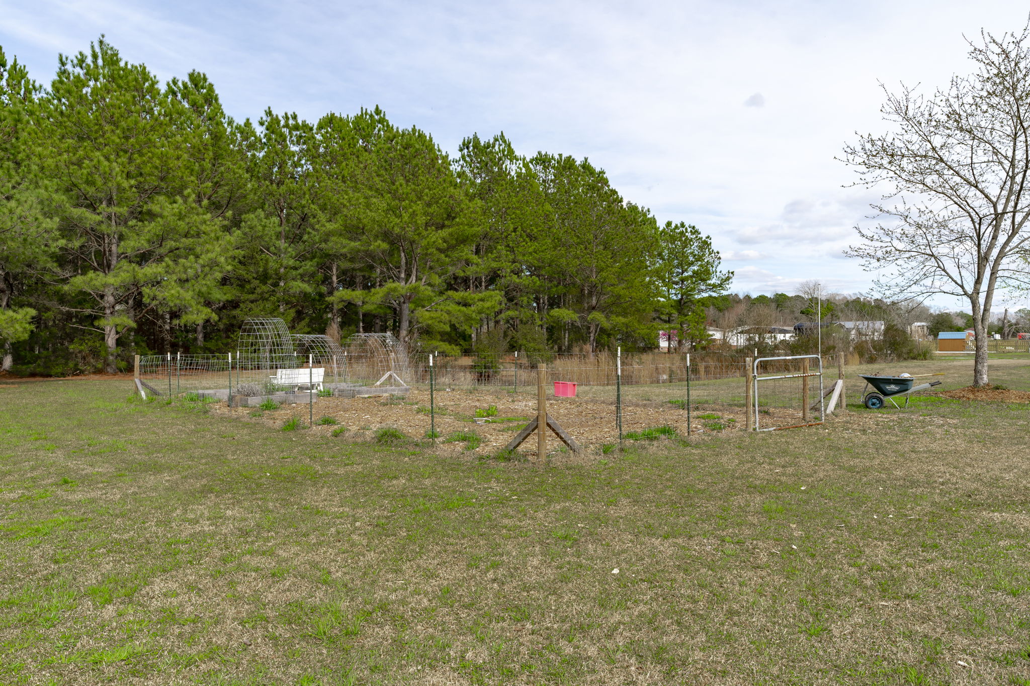  Photo 44