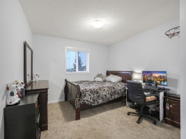 Photo 49