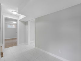  Photo 54