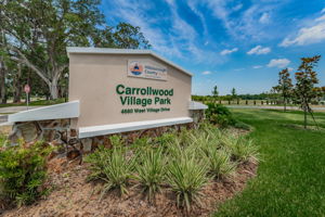 Carrollwood Village Park (1)