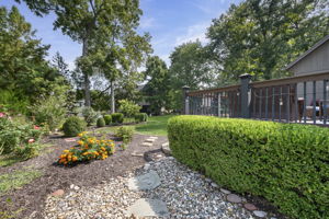 Landscaping off Deck
