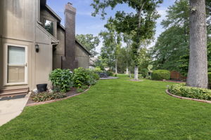 Open Backyard