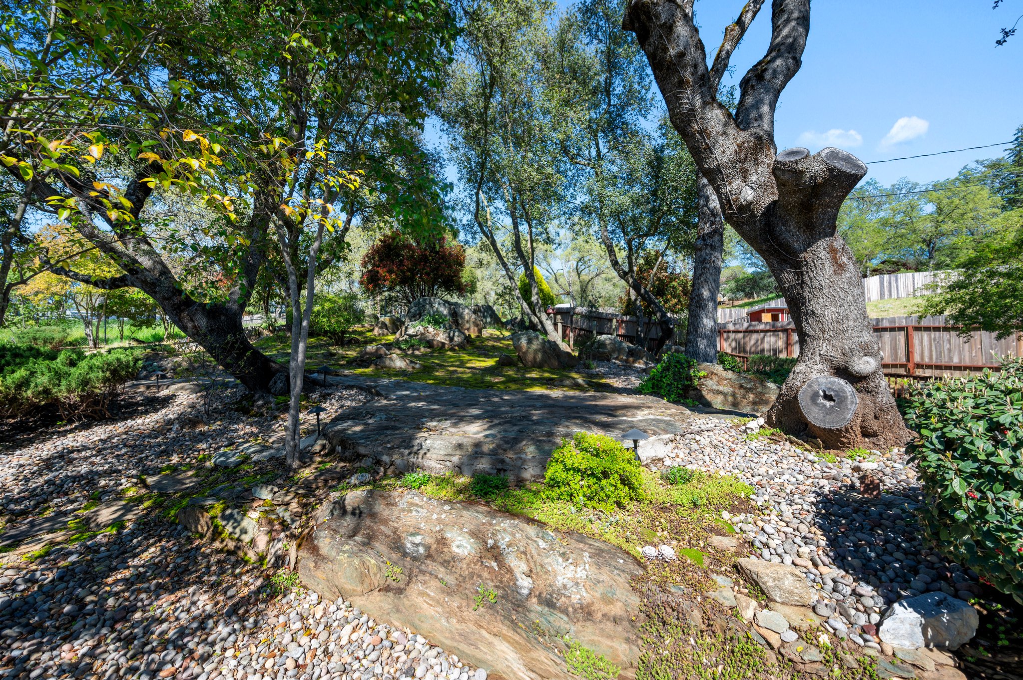 Back Yard Landscape with Trees