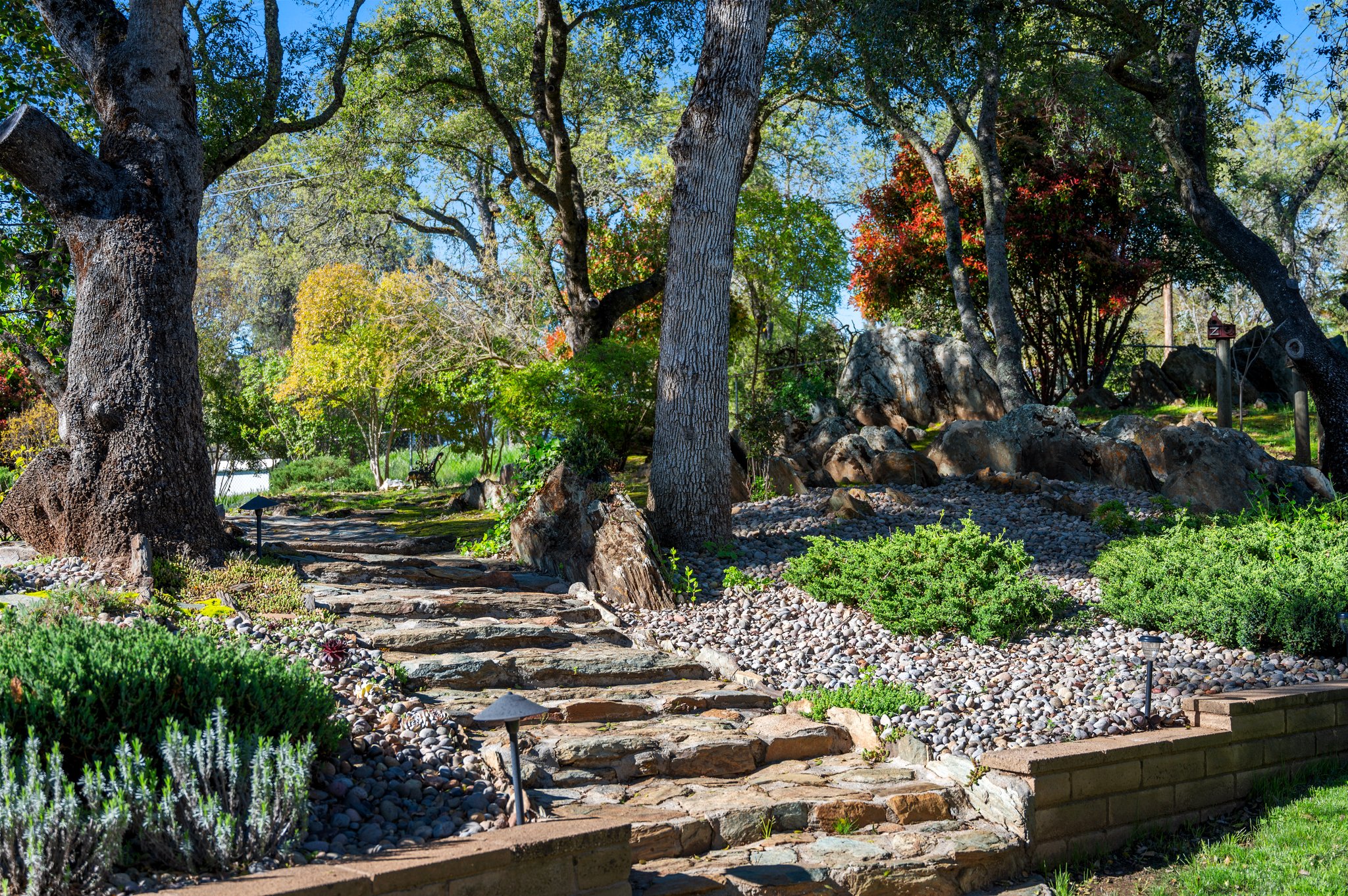 Back Yard Landscaping