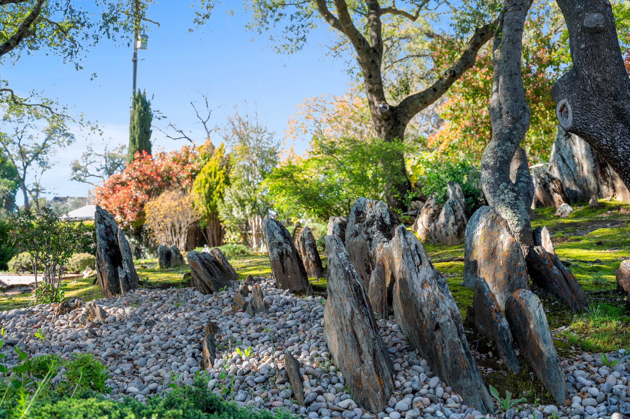 Rock Garden