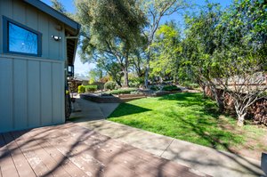 Back Yard Area