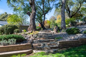 Back Yard with Rock Pathway