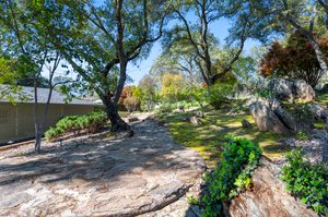 Back Yard Landscape