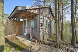  Photo 46