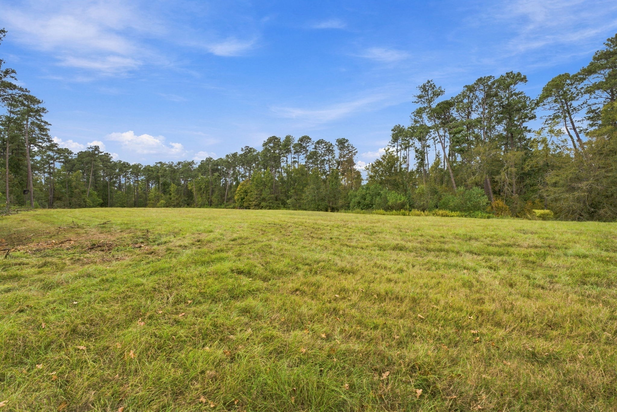  Photo 66