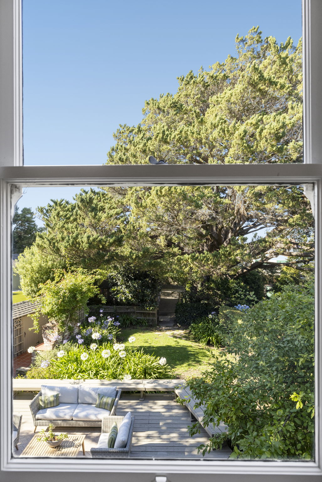  Photo 50