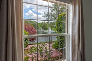 Window Views