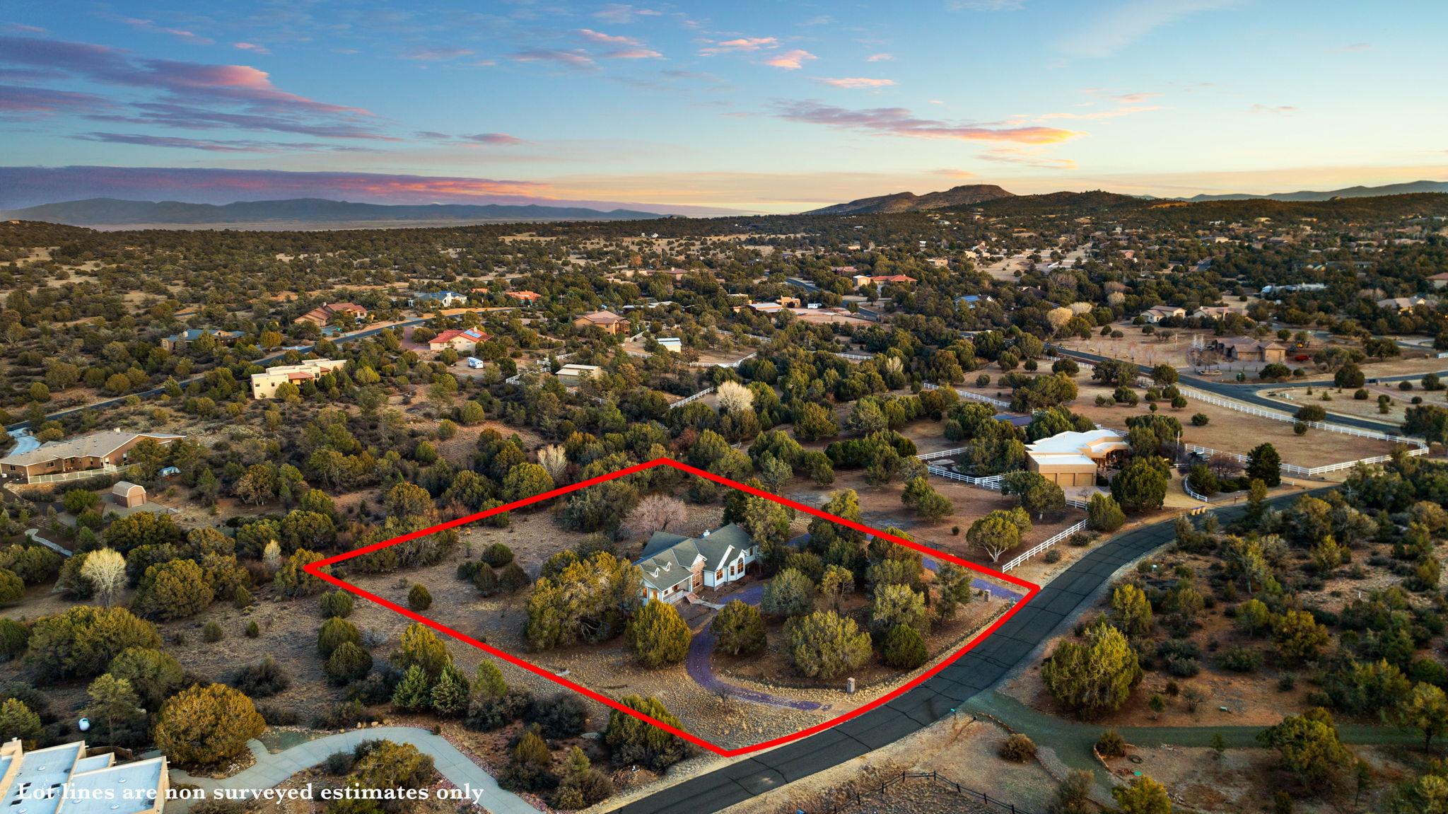 Aerial Lot Lines_1
