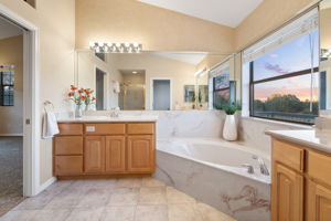 Owner's Full Bathroom