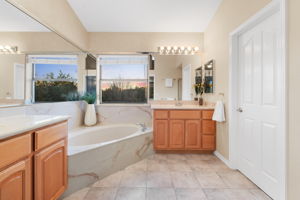 Owner's Garden Tub & Sep. Vanities