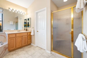 Owner's Walk in Shower