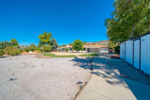  Photo 45